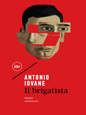 cover image of Il brigatista